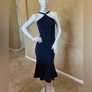 Dress the Population Navy Blue Dress Size S